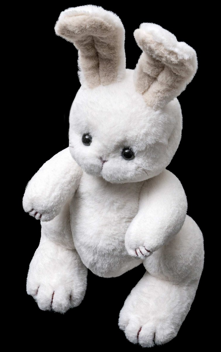 “인형”의 도면