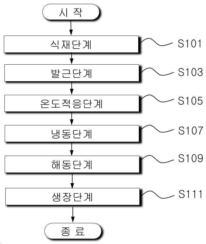 “산마늘의 재배방법”의 도면
