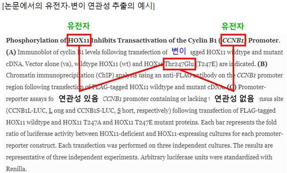 “생물학문헌 내 유전자와 변이의 연관성 추출 장치 및 방법”의 도면