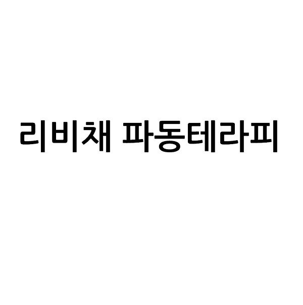 “리비채 파동테라피”의 상표 견본