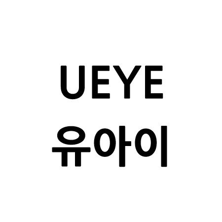 “유아이 (UEYE)”의 상표 견본