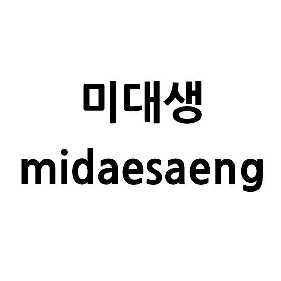 “미대생 (midaesaeng)”의 상표 견본