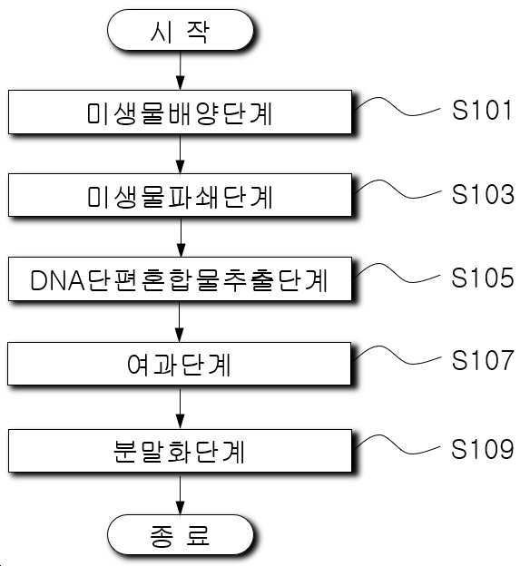“미생물을 이용한 DNA 단편 혼합물의 제조방법”의 도면